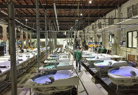 Foshan Nanhai Sannora Sanitary Ware Co., Ltd. γραμμή παραγωγής του κατασκευαστή